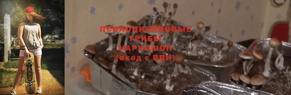 эйфоретик Кулебаки