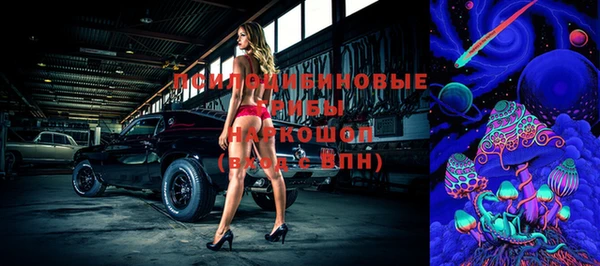 гашик Куйбышев