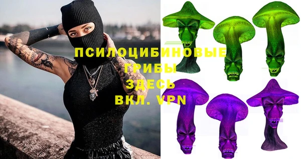 эйфоретик Кулебаки