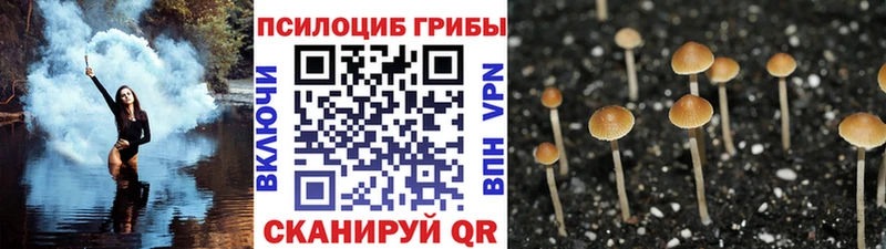 Псилоцибиновые грибы GOLDEN TEACHER  как найти закладки  Южноуральск 
